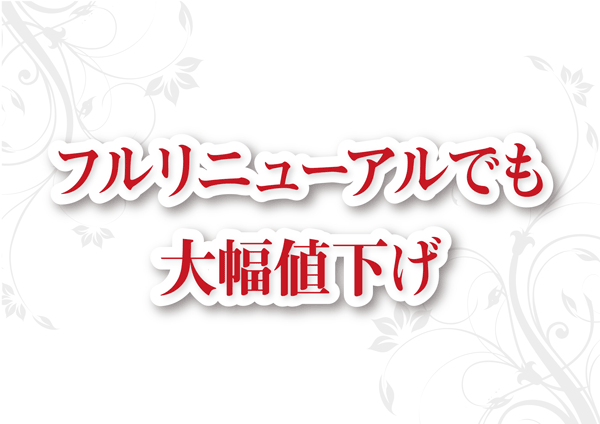 フルリニューアルでも大幅値下げ